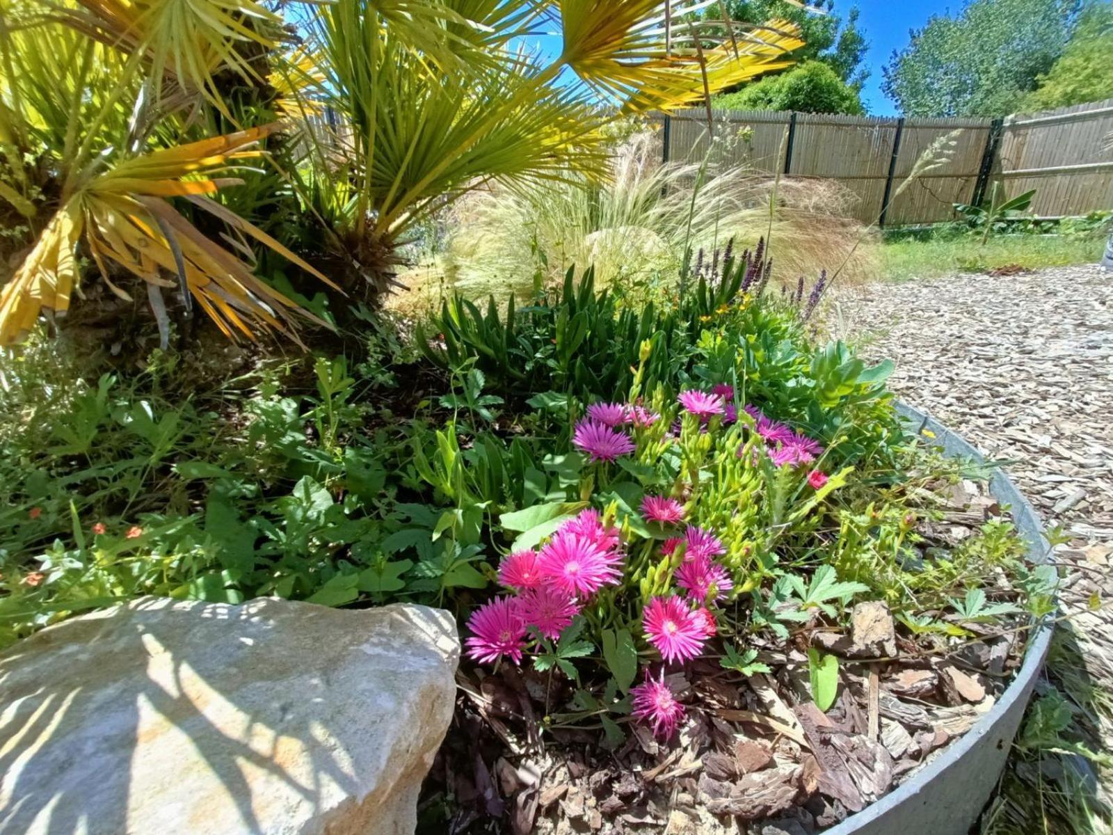 Apb Spa Locations Avec Jacuzzi Privatif Saint-Jean-de-Monts Exterior foto